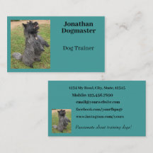 Hund Trainer Aqua Blue Teal Photo Minimal