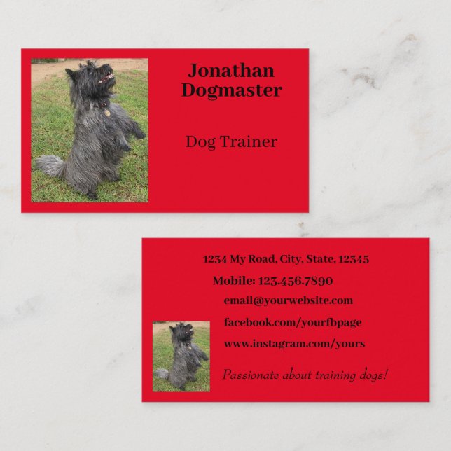 Hund Trainer Bright Red Minimal Photo Visitkort (Fram/baksida)
