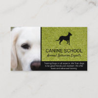 Hund Trainer | Djurbeteende