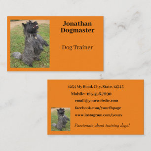 Hund Trainer Photo Orange Citrus Background Minima Visitkort