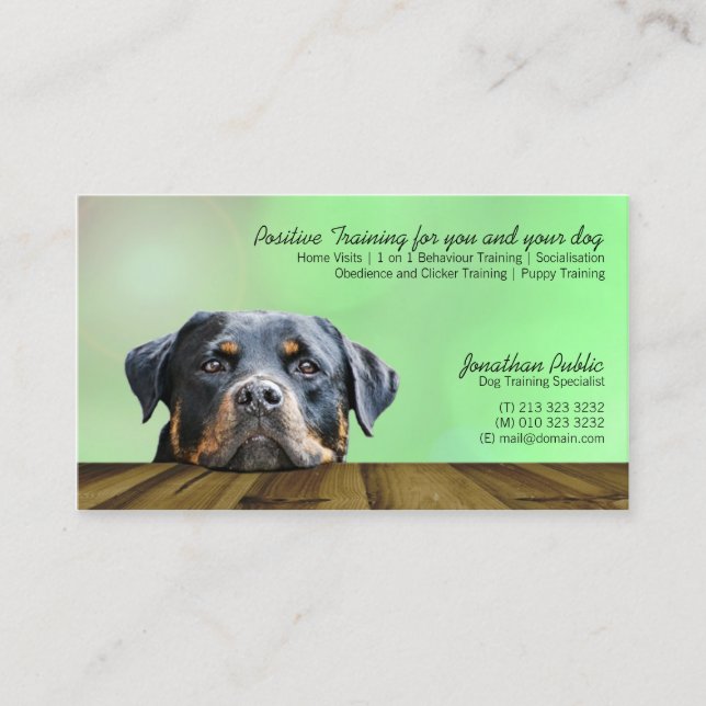 Hund Trainer Visitkort (Framsida)