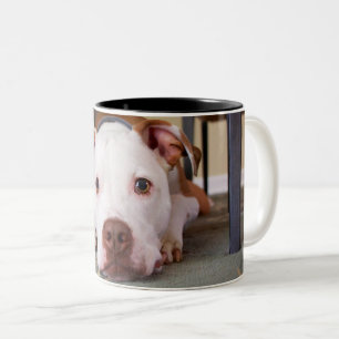 Hund Två-Tonad Mugg