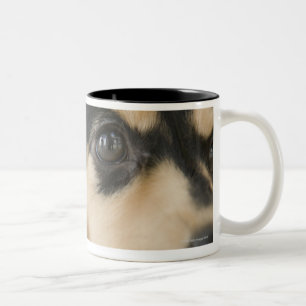 Hund Två-Tonad Mugg