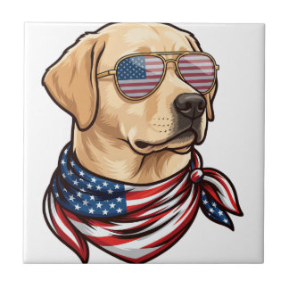 Hund Usa Flag Solglasögon Bandana Kakelplatta