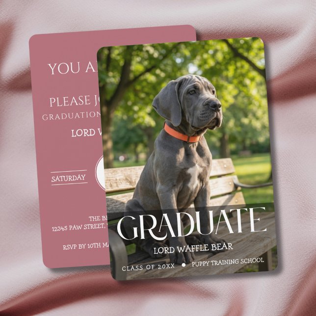 Hund Utexamineringsfest Inbjudan Husdjur Foto Rosa (Rose Gold Dog Graduation Invitation cards)
