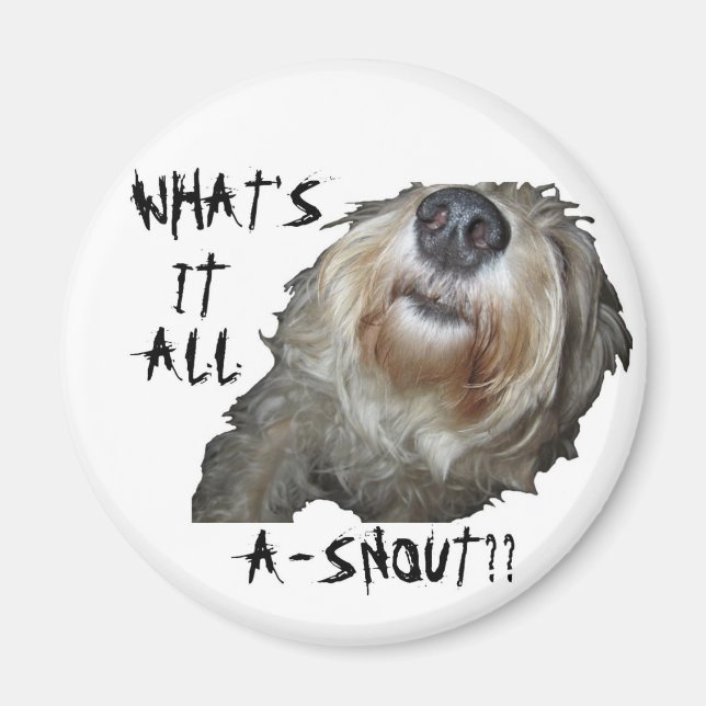 Hund "VAD ÄR DET?" Magnet (Framsidan)