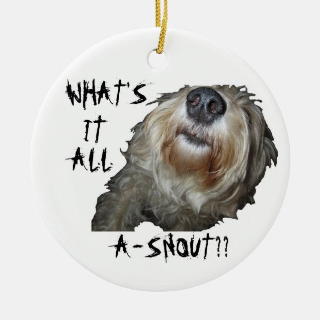 Hund "VAD ÄR DET?" Ornament (Framsidan)