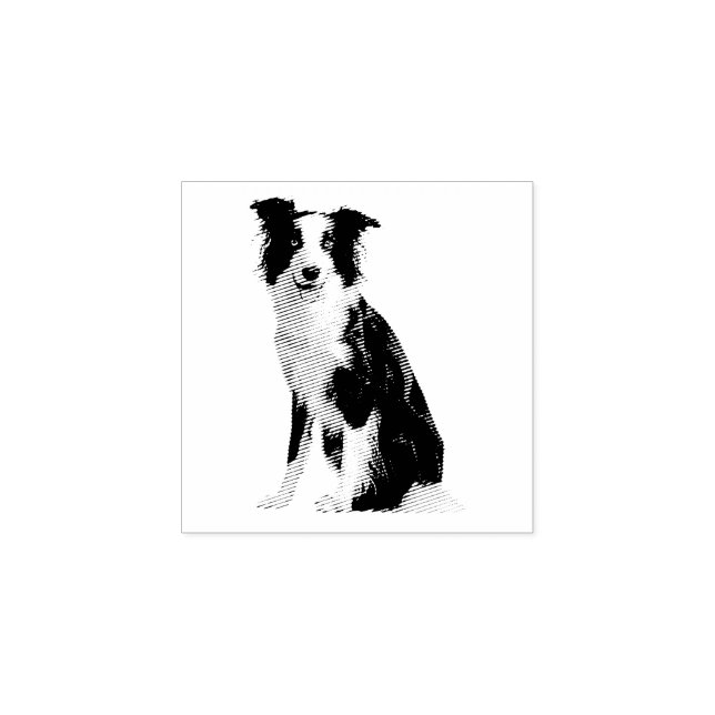 Hund Valp Border Collie Stämpel (Tryck)