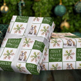Hund Valp Husdjur Foto Snöflinga Grön Jul Presentpapper
