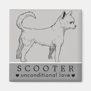 Hund Valp Husdjur Personligt Namn Magnet