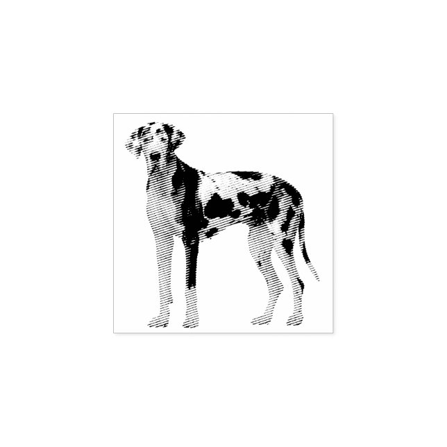 Hund Valp Sötast Svart Vit Grand Danois Stämpel (Tryck)