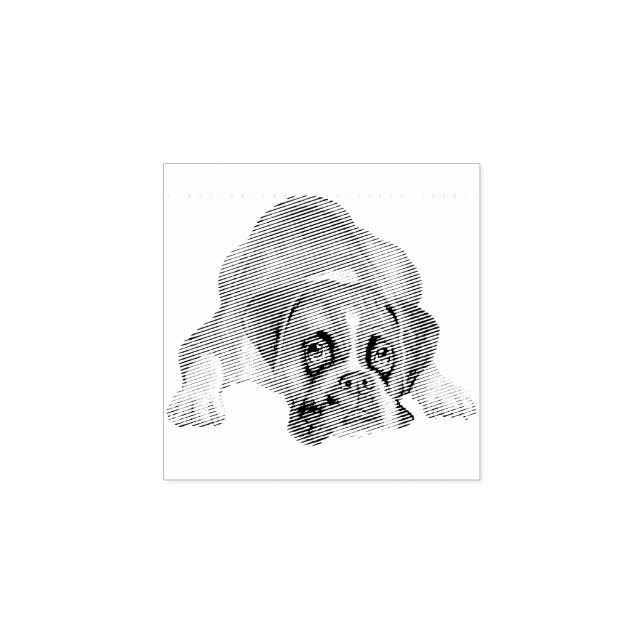Hund Valp Sötaste Bebis Boxer Stämpel (Tryck)