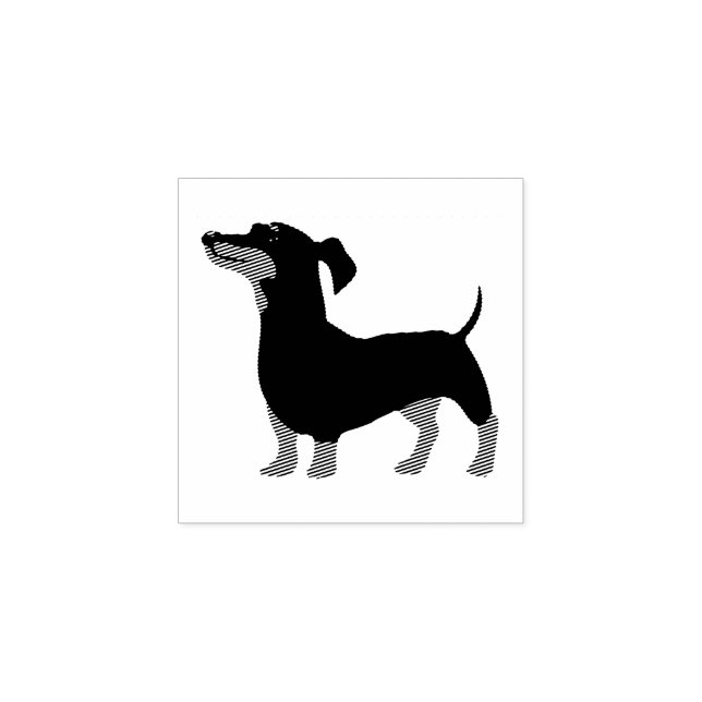 Hund Valp Sötaste Bebis Dachshund Stämpel (Tryck)