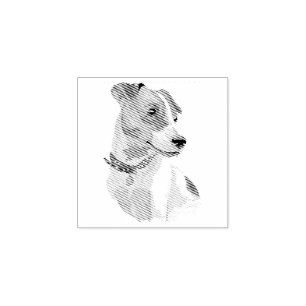 Hund Valp Sötaste Bebis Jack Russell Stämpel