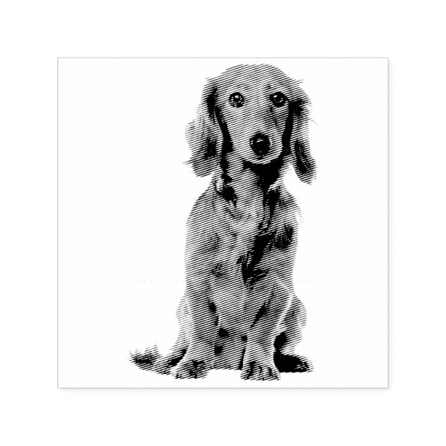 Hund Valp Sötaste Cocker Självfärgande Stämpel (Design)