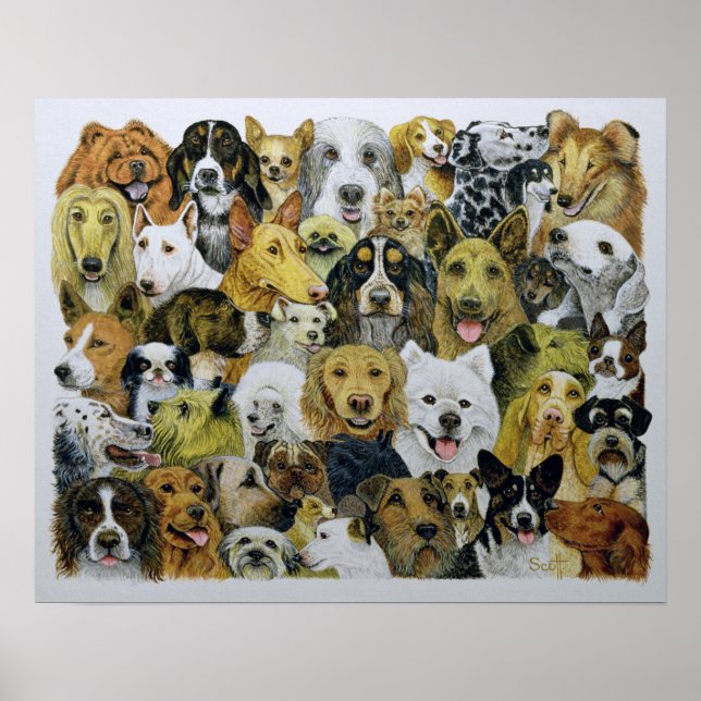 Hund Vänner Poster (Framsidan)