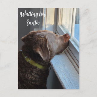 Hund Väntar på tomten Helg Vykort