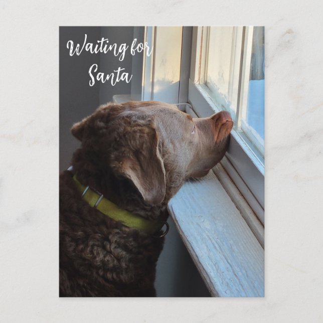 Hund Väntar på tomten Helg Vykort (Framsida)