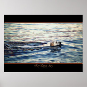 HUND VATTEN BOY POSTER