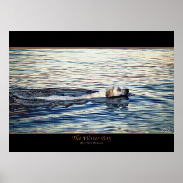 HUND VATTEN BOY POSTER (Framsidan)