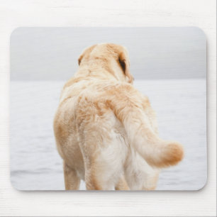 Hund vid dockning musmatta