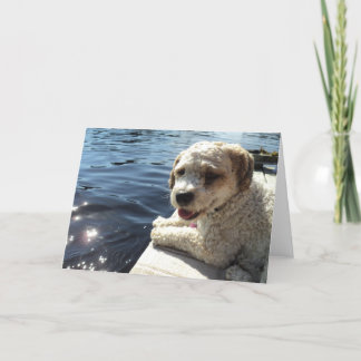 Hund vid ett sjöhälsningkort kort