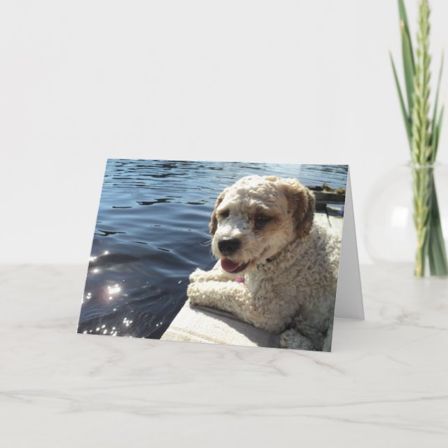 Hund vid ett sjöhälsningkort kort (Framsida)