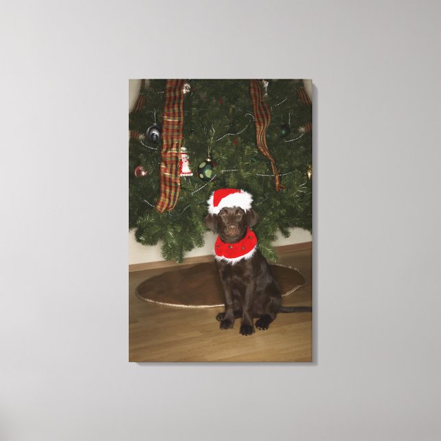 Hund vid Julgran Canvastryck (Framsida)