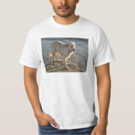 Hund vid kusten t shirt