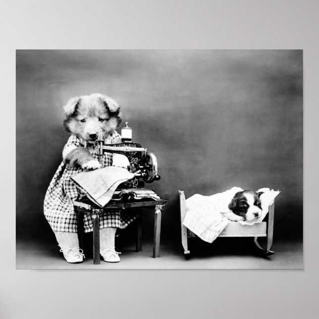 Hund vid sittande Maskin - Skapar Baby kläder Poster (Framsidan)