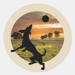 Hund vid spel runt klistermärke