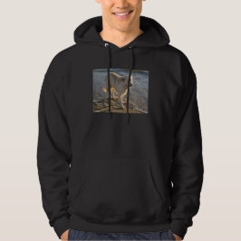 Hund vid stranden hoodie