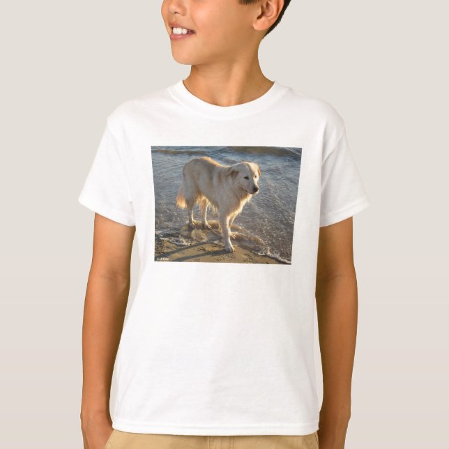 Hund vid stranden t shirt (Framsida)