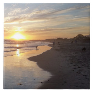 Hund vid Sunset California Dreaming Tile Kakelplatta