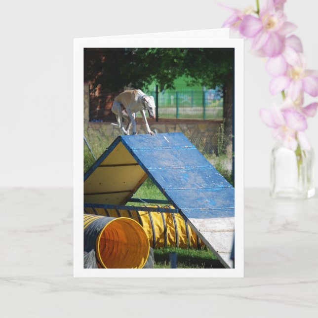 Hund vid utbildningsskolan kort (Orkide)