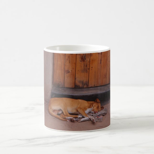 Hund vid Vilda Mugg (Center)