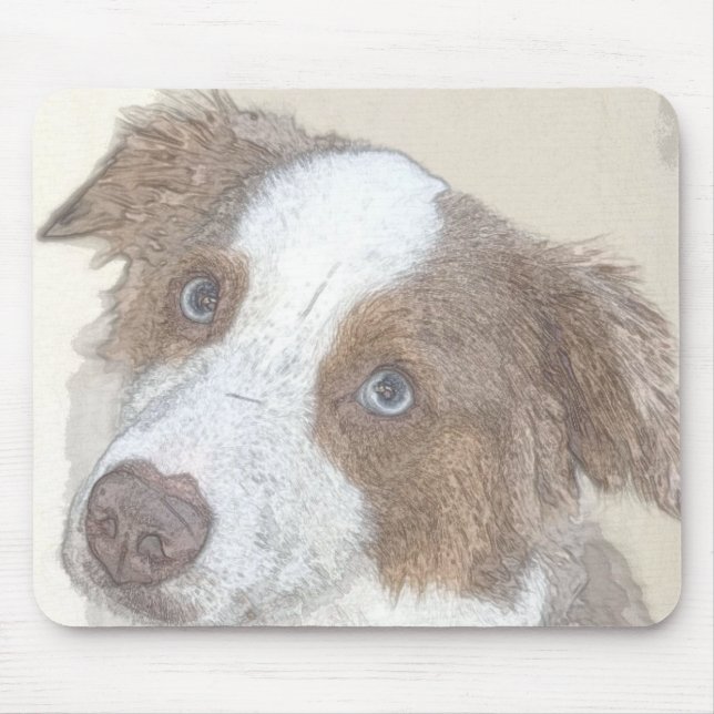 Hund, Vila, Husdjur Musmatta (Framsidan)