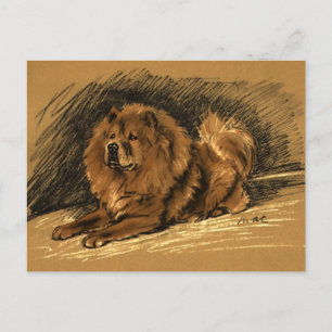 Hund vintage Chow Vykort