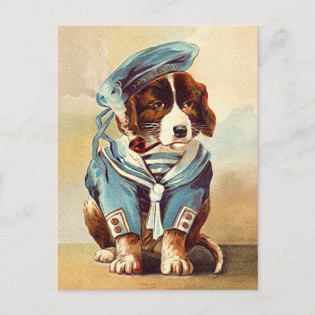 Hund vintage Sailor Vykort (Framsida)