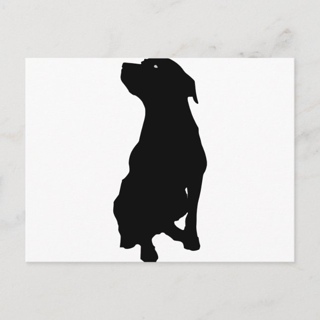 Hund Vykort (Framsida)