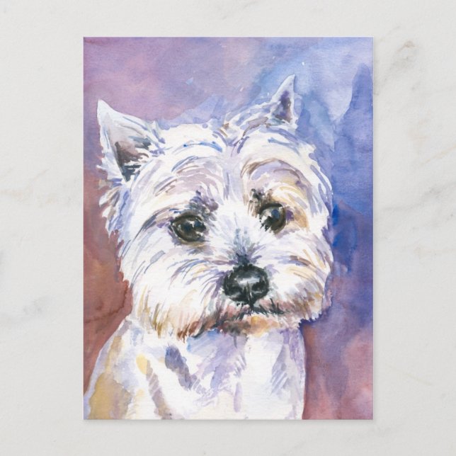 Hund Vykort (Framsida)