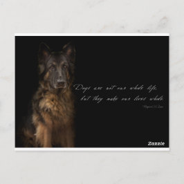 "hund" vykort