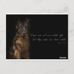 "hund" vykort