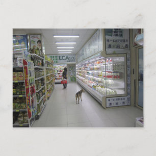 Hund-vykort Vykort