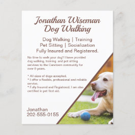 Hund Walking Pet Sitta Business Promotional Flygblad