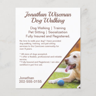 Hund Walking Pet Sitta Business Promotional Flygblad
