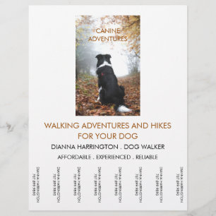 Hund Walking Walker Äventyr Walks and Hikes Reklamblad