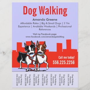 Hund Walking Walker Boston Terriers Tear Lakan Reklamblad