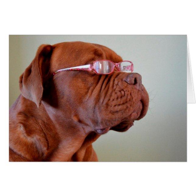 Hund WAN Rosa Eyeglasses Hälsningskort (Framsidan Horizontal)