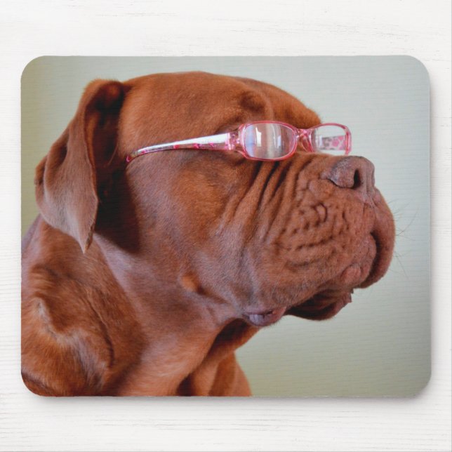 Hund WAN Rosa Eyeglasses Musmatta (Framsidan)